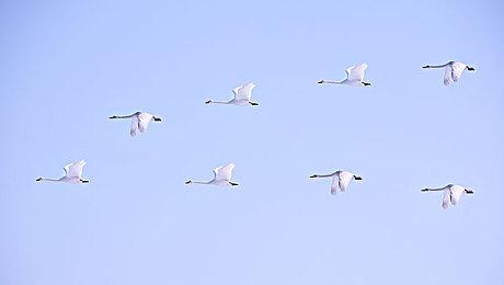 《星球大战：亡命之徒》两段新视频公布